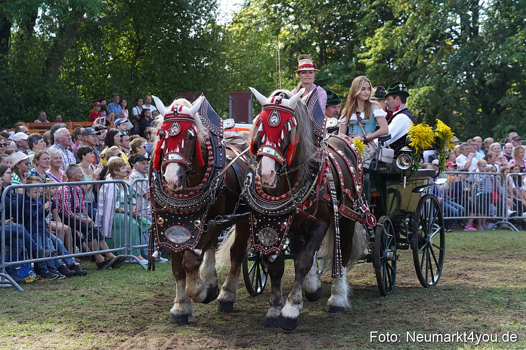 Pferde und Fohlenschau 2022 0214 